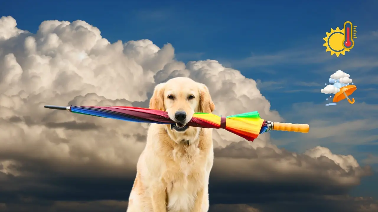 ¿Va a llover este lunes? | Foto: Imagen ilustrativa