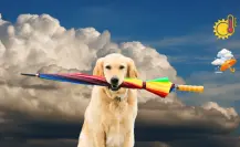 ¿Probabilidades de lluvia? consulta el pronóstico del clima en Durango para este 16 de junio