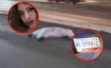 REPUVE revela datos clave de la muerte de Angy Vera: modelo, placas y dueña de la camioneta