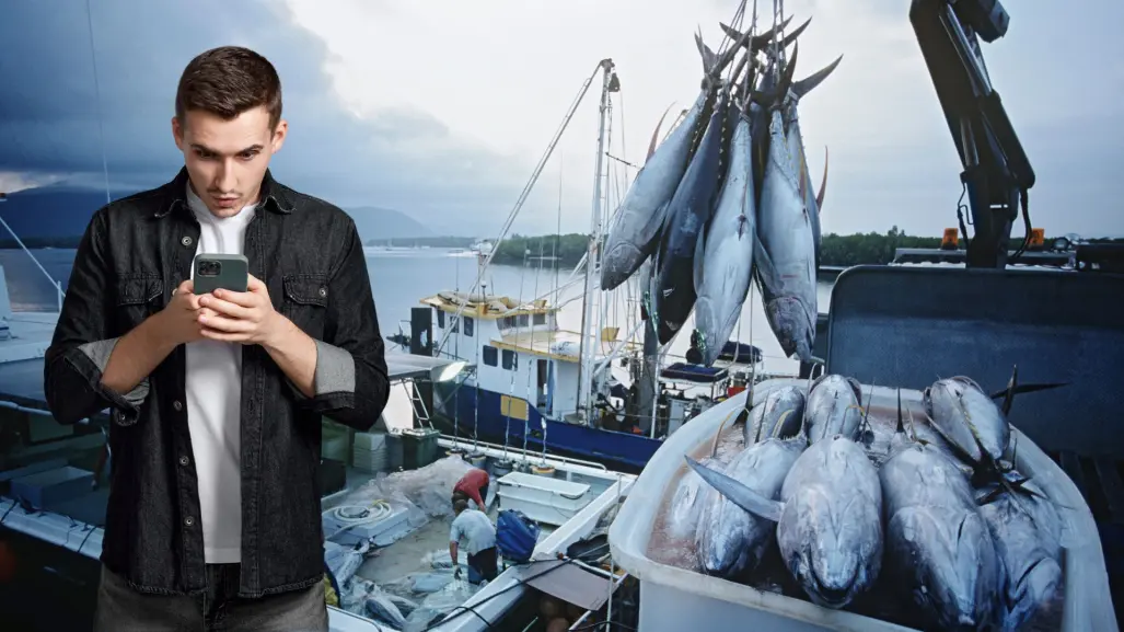 ¿Cómo denunciar la pesca ilegal en Baja California Sur? Guía actualizada para ciudadanos