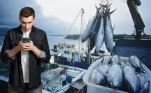 ¿Cómo denunciar la pesca ilegal en Baja California Sur? Guía actualizada para ciudadanos