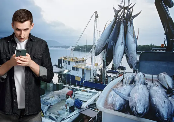 ¿Cómo denunciar la pesca ilegal en Baja California Sur? Guía actualizada para ciudadanos