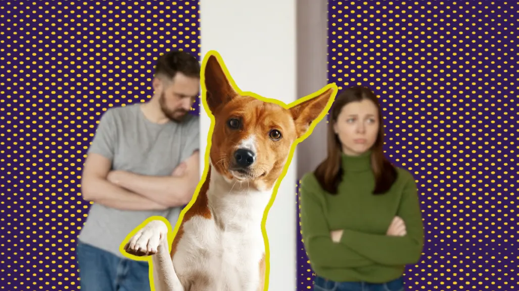 ¿Con quién se queda el perro? Buscan que custodia de mascotas ante divorcio sea definida por jueces