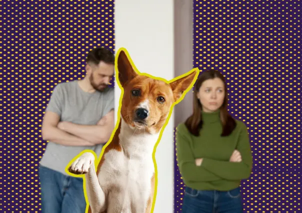 ¿Con quién se queda el perro? Buscan que custodia de mascotas ante divorcio sea definida por jueces