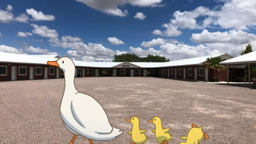 3 lugares para hospedarse cerca de la laguna de Durango que es santuario de aves migratorias