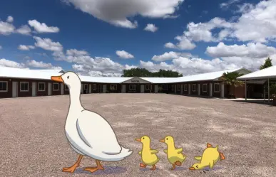 3 lugares para hospedarse cerca de la laguna de Durango que es santuario de aves migratorias