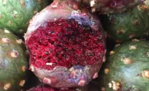 Este fruto nativo de Tamaulipas tiene un alto contenido de antioxidantes y fibra intestinal