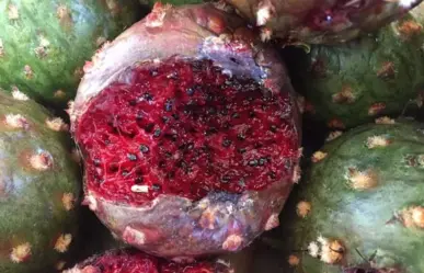 Este fruto nativo de Tamaulipas tiene un alto contenido de antioxidantes y fibra intestinal