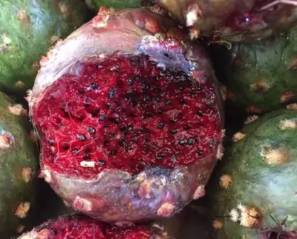 Este fruto nativo de Tamaulipas tiene un alto contenido de antioxidantes y fibra intestinal