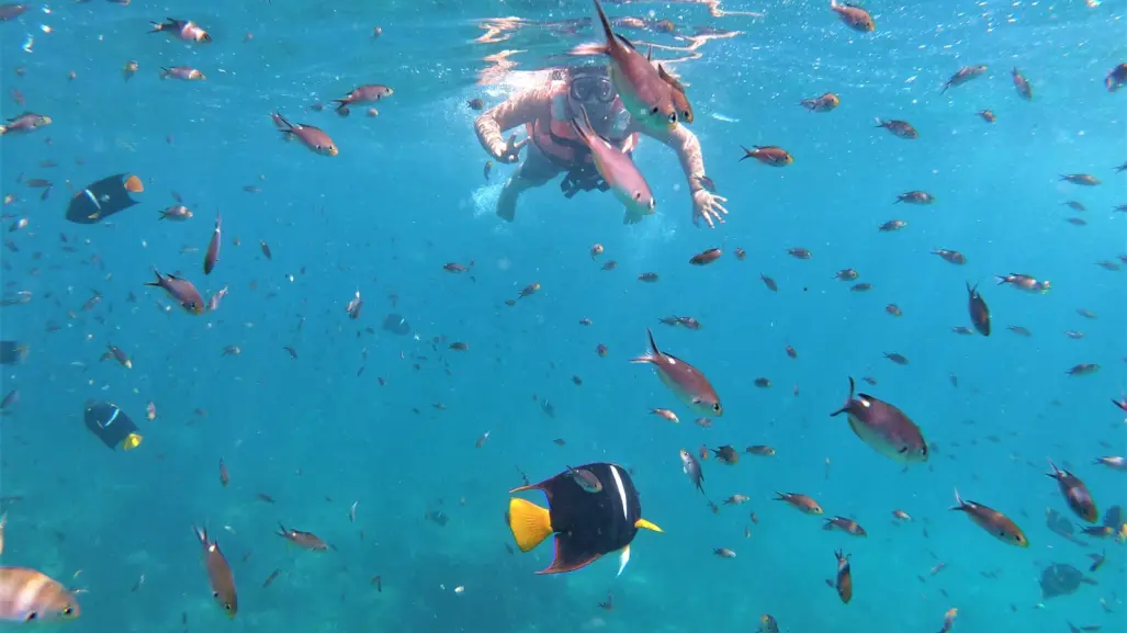 Estas son las 3 mejores playas vírgenes en Nayarit para hacer snorkel sin tomar tour en lancha