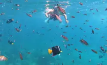 Estas son las 3 mejores playas vírgenes en Nayarit para hacer snorkel sin tomar tour en lancha
