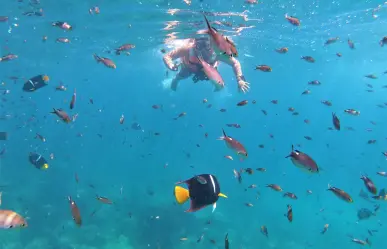 Estas son las 3 mejores playas vírgenes en Nayarit para hacer snorkel sin tomar tour en lancha