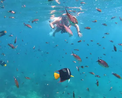 Estas son las 3 mejores playas vírgenes en Nayarit para hacer snorkel sin tomar tour en lancha