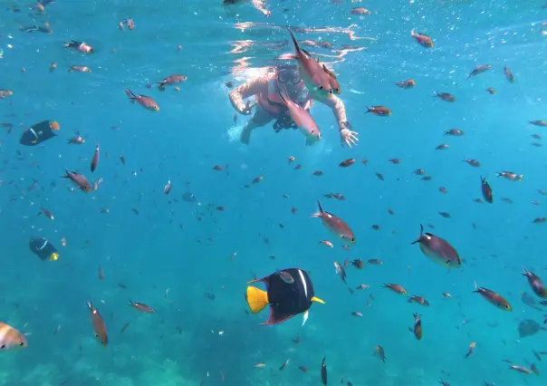 Estas son las 3 mejores playas vírgenes en Nayarit para hacer snorkel sin tomar tour en lancha