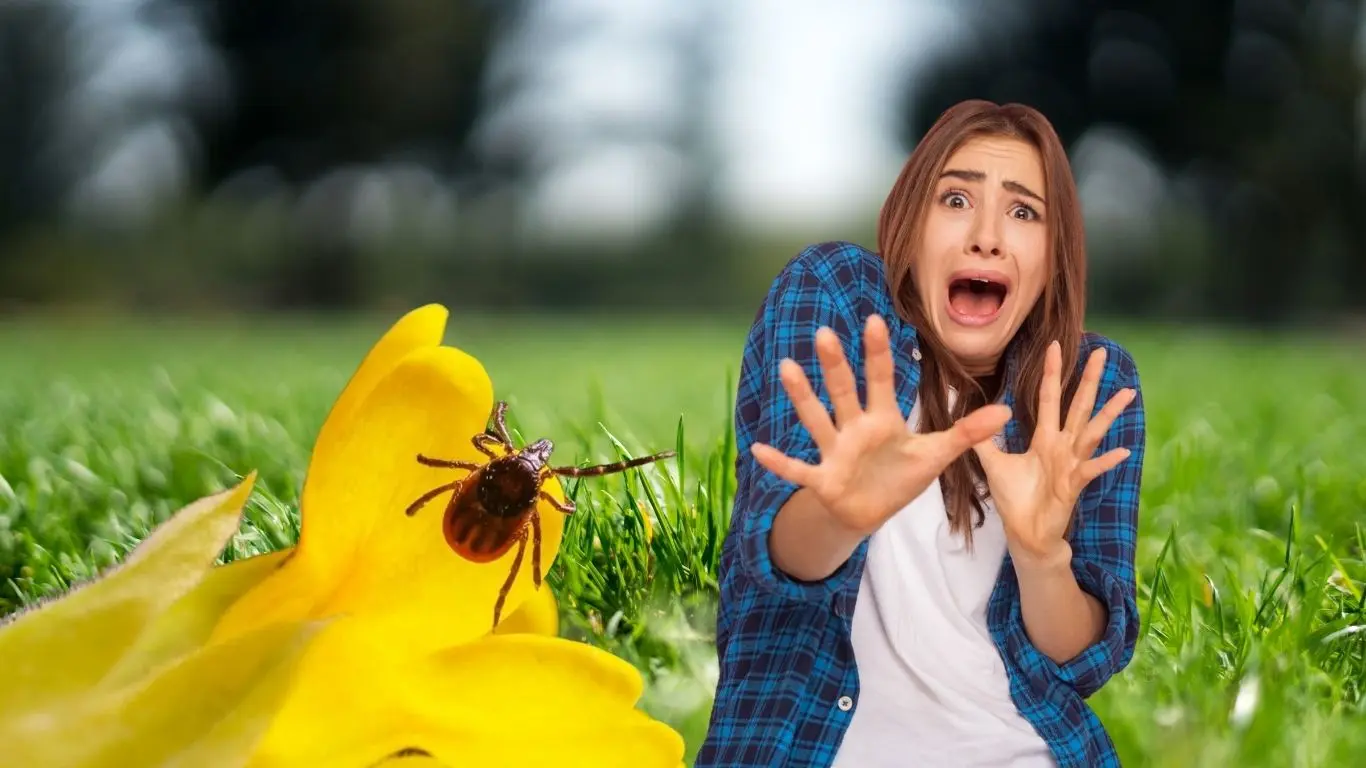 ¿Cómo prevenir la propagación de garrapatas en los predios?. Foto: CANVA