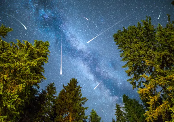 Lluvia de meteoros 2025: Cuándo y dónde ver en México