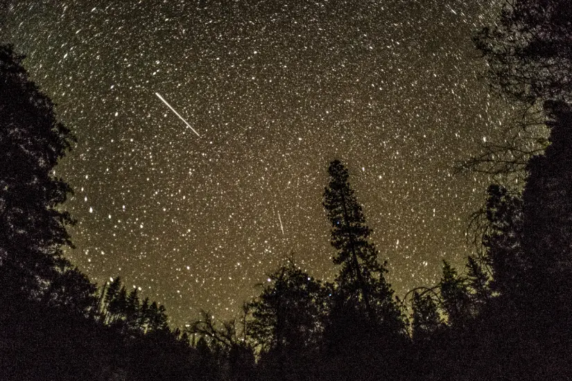 El próximo 27 de junio, la Ciudad de México se llenará de estrellas fugaces con la lluvia de meteoros Bootidas. Foto: Canva