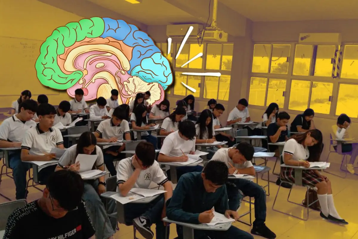 Materia nueva en escuelas de Coahuila / Fotos: Cobac | Canva