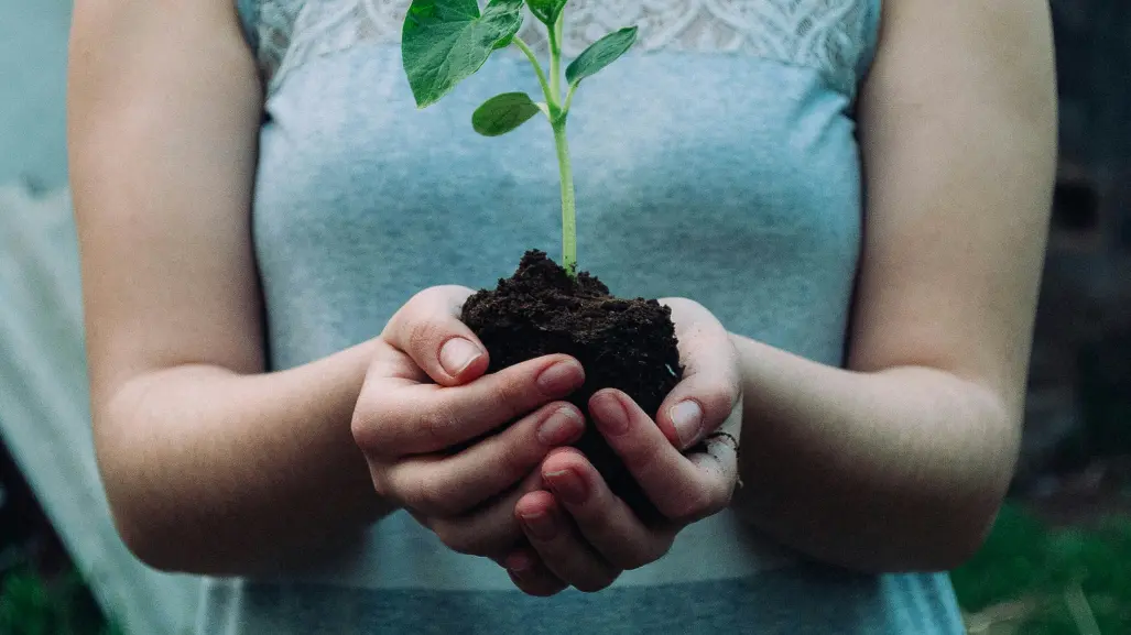 Va por la Tierra A.C. impulsa liderazgos ambientales en escuelas de Yucatán