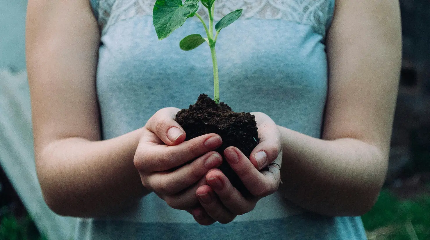 ¿Cómo se forman líderes ambientales desde las aulas?. Foto: Unsplash