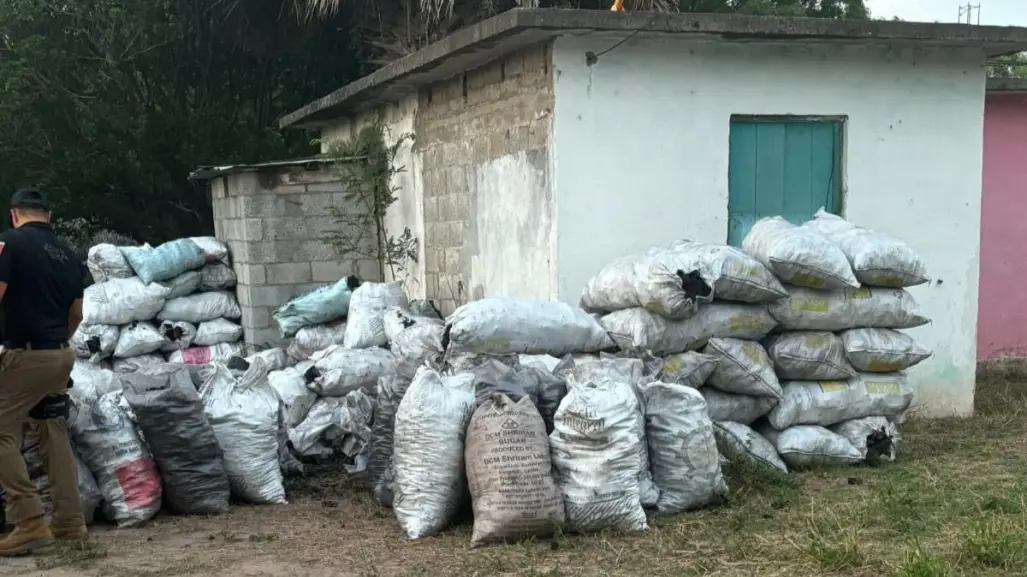FGR decomisa más de 3 toneladas de carbón vegetal en Tamaulipas