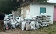 FGR decomisa más de 3 toneladas de carbón vegetal en Tamaulipas
