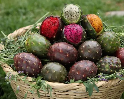 Dicen que este fruto nativo de Tamaulipas es un buen afrodisíaco