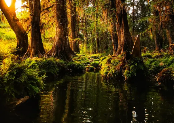 Este río es el más bonito de la huasteca de Tamaulipas y San Luís Potosí ideal para la aventura