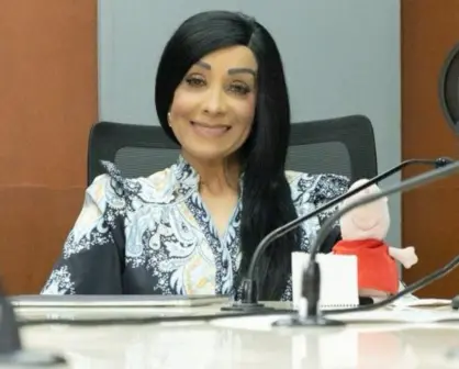 La libertad de expresión tiene límites: Rosa Isela Sánchez