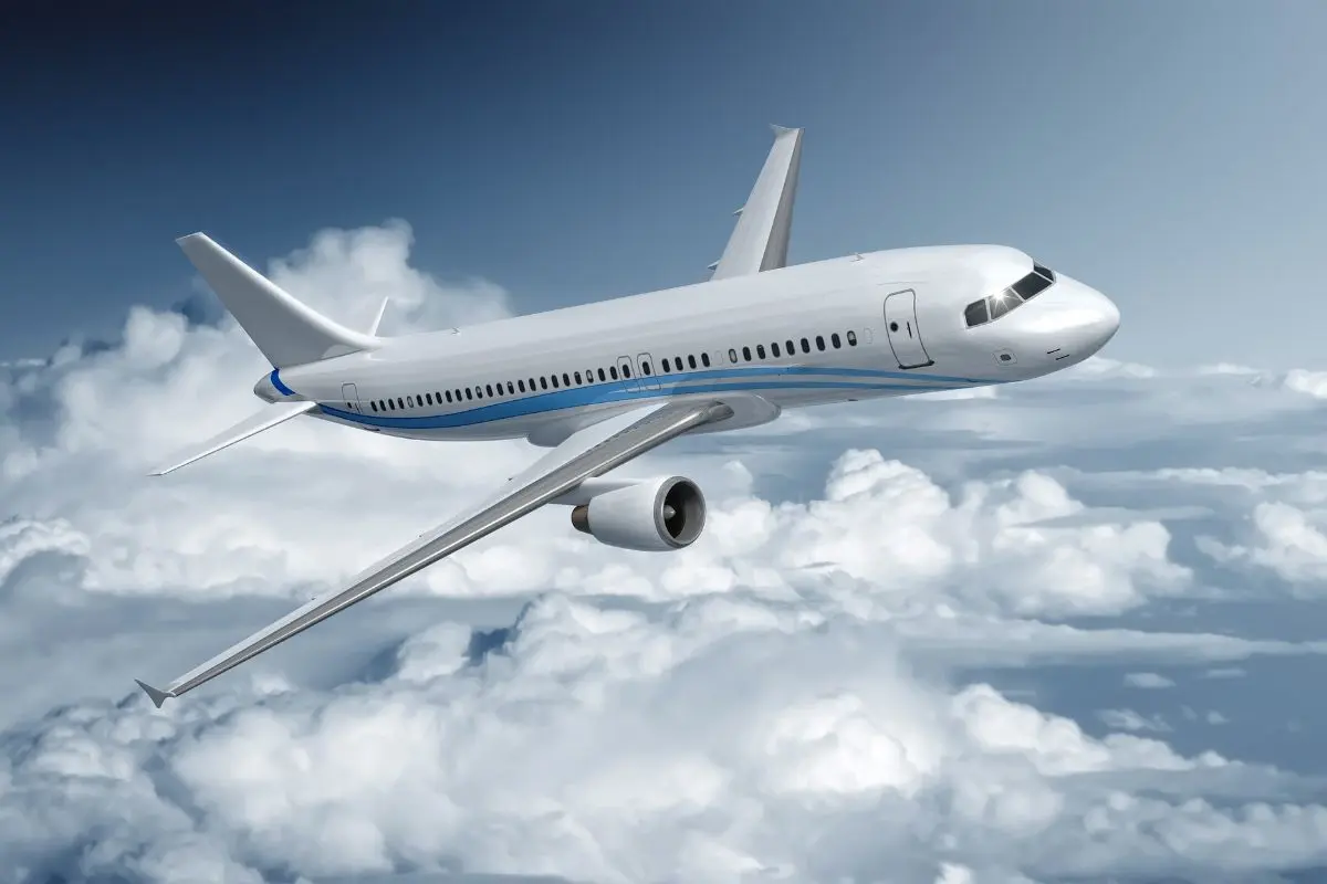 Aerus. Foto de canva.