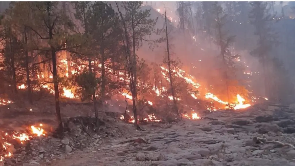 Cifra histórica de incendios forestales para Durango