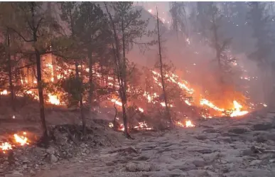 Cifra histórica de incendios forestales para Durango