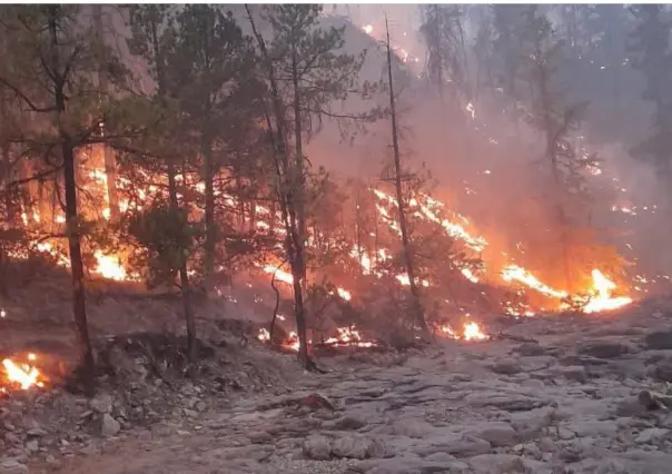Cifra histórica de incendios forestales para Durango