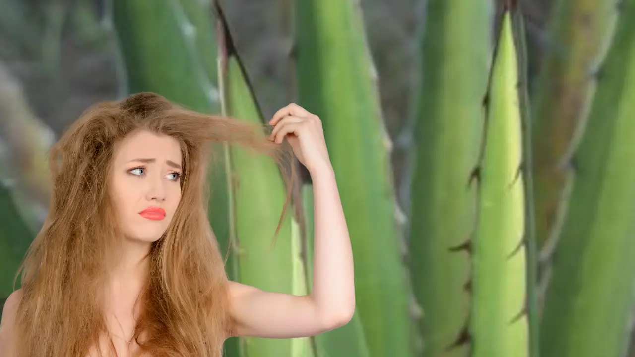 Una planta nativa de Durango es utilizada para el cuidado del cabello. Foto: Especial.