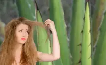 La planta nativa de Durango que se usa para evitar la caída de cabello