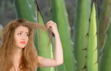 La planta nativa de Durango que se usa para evitar la caída de cabello