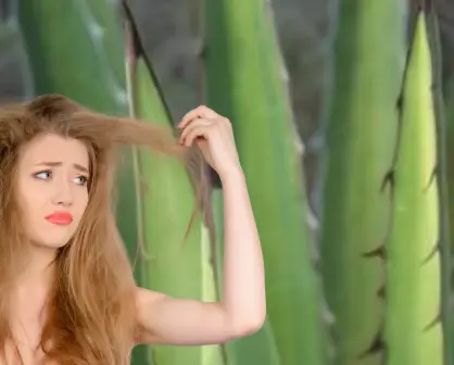 La planta nativa de Durango que se usa para evitar la caída de cabello
