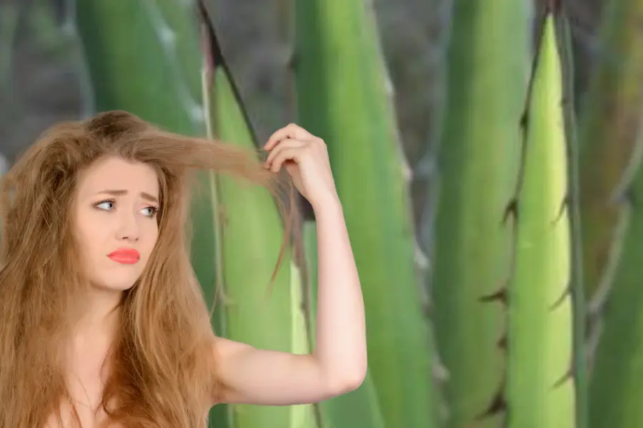 La planta nativa de Durango que se usa para evitar la caída de cabello
