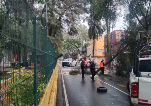 Caída de un árbol provoca la movilización de servicios de emergencia en Iztacalco en CDMX