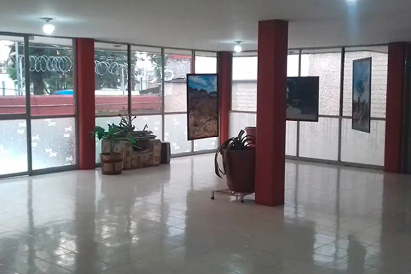 Foto: Modesto Peralta Delgado.