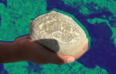 Conoce los fósiles y el trabajo de los guardaparques del río Santa Catarina