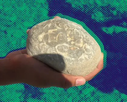 Conoce los fósiles y el trabajo de los guardaparques del río Santa Catarina