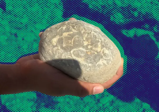Conoce los fósiles y el trabajo de los guardaparques del río Santa Catarina