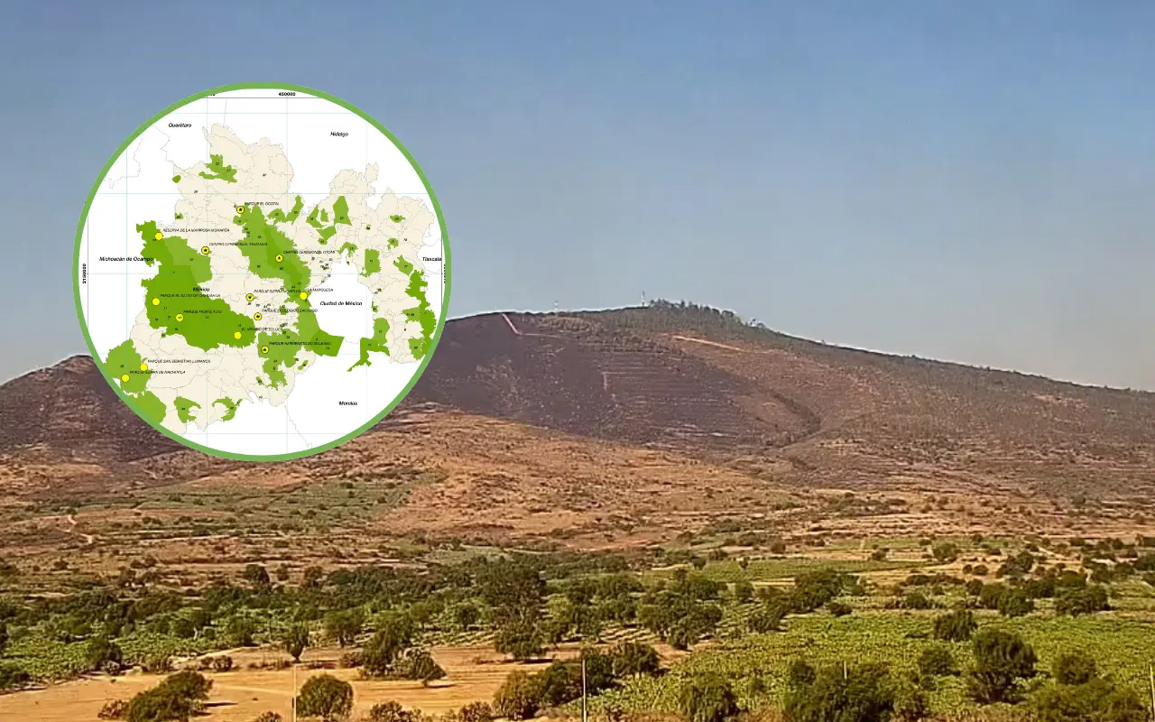El Edomex protege casi un millón de hectáreas con riqueza natural, cultural y ecológica en cada una de sus áreas naturales. Foto: X/ @AmbienteEdomex (Canva)
