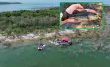 Liberarán 10 mil alevines de lobina negra en la Presa Vicente Guerrero de Tamaulipas