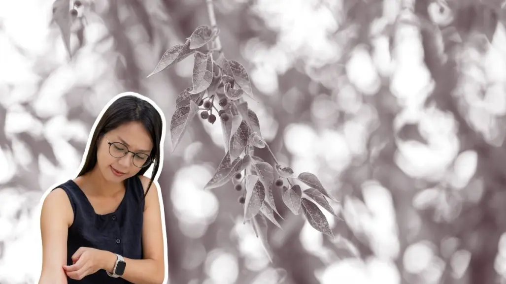 El árbol nativo de Nuevo León que previene la picadura de insectos