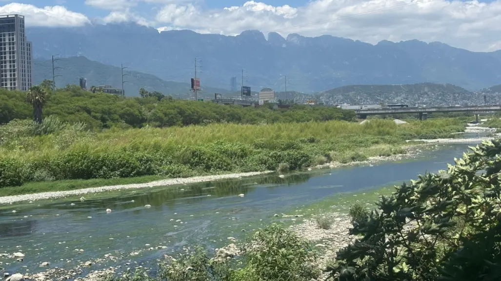 Conoce el ecosistema del río Santa Catarina y cómo puedes cuidarlo