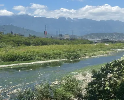 Conoce el ecosistema del río Santa Catarina y cómo puedes cuidarlo
