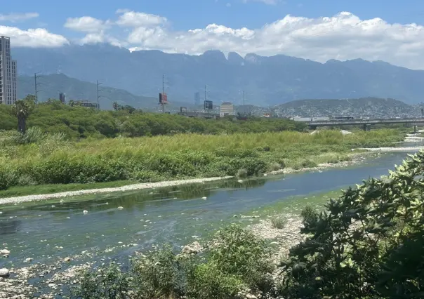 Conoce el ecosistema del río Santa Catarina y cómo puedes cuidarlo