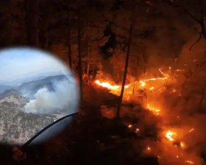 Incendios forestales en Durango: hay 3 incendios activos en el territorio estatal